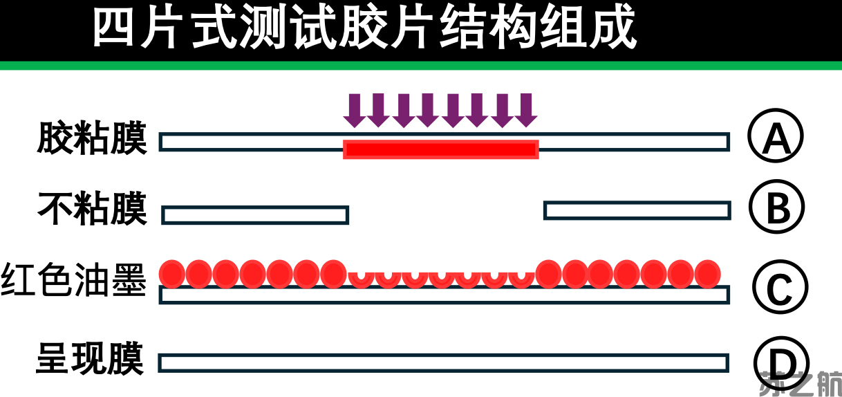 红色油墨压敏纸(图1)